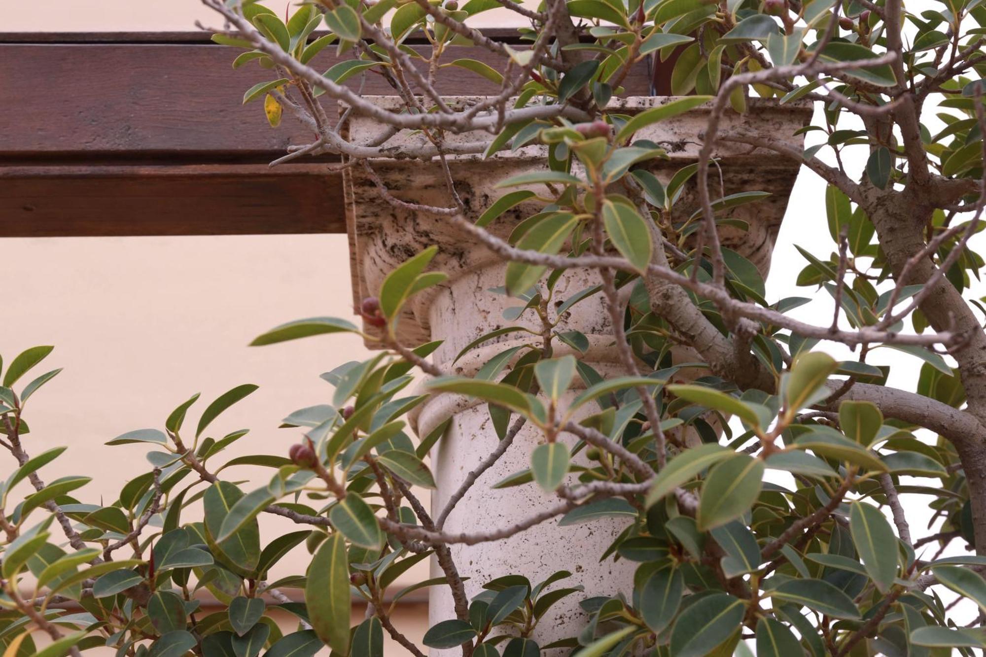 Casa Romana Boutique Seville